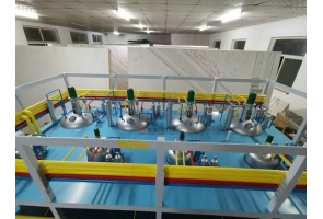 原料药发酵工艺模型